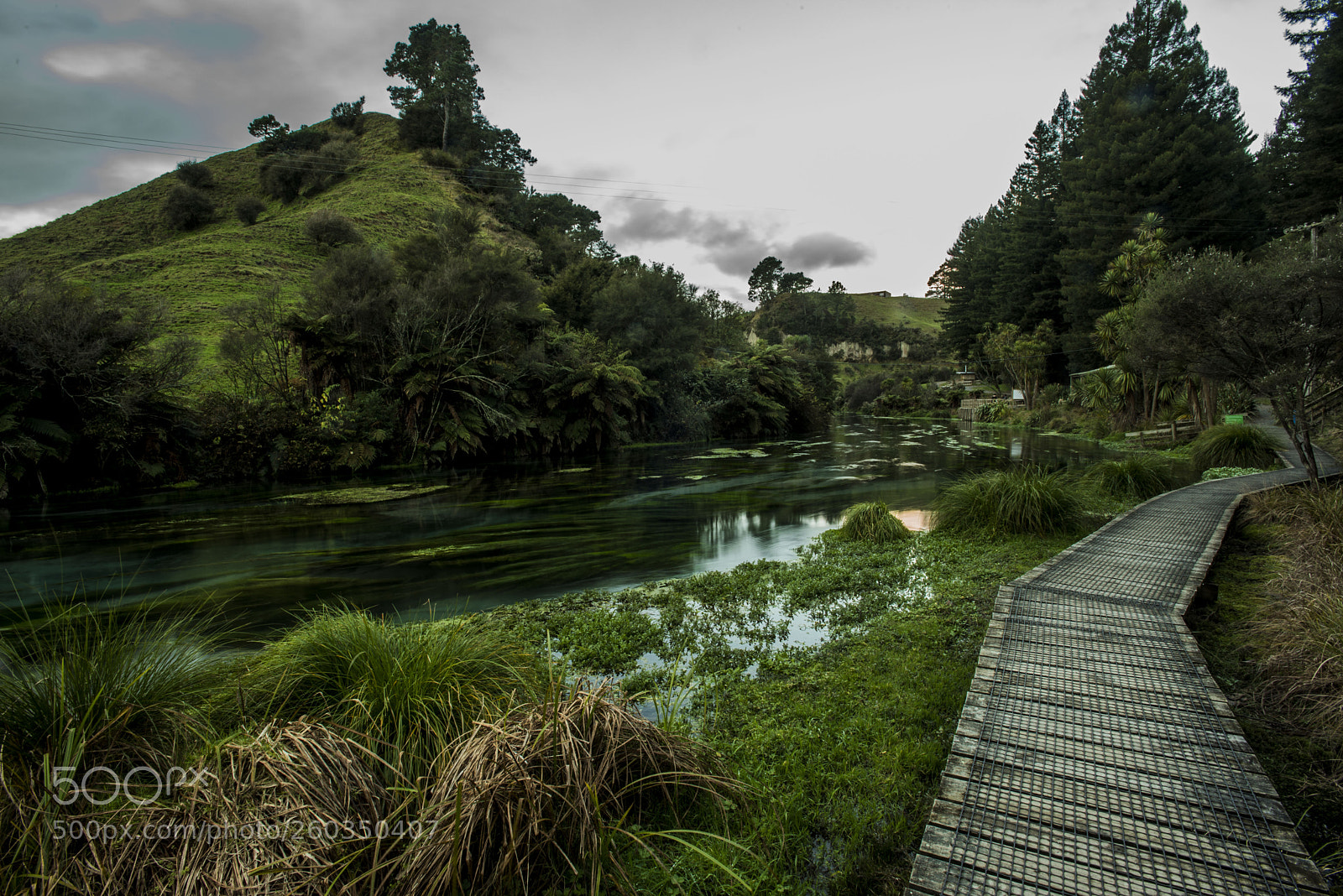 Nikon D750 sample photo. Blue spring - te photography