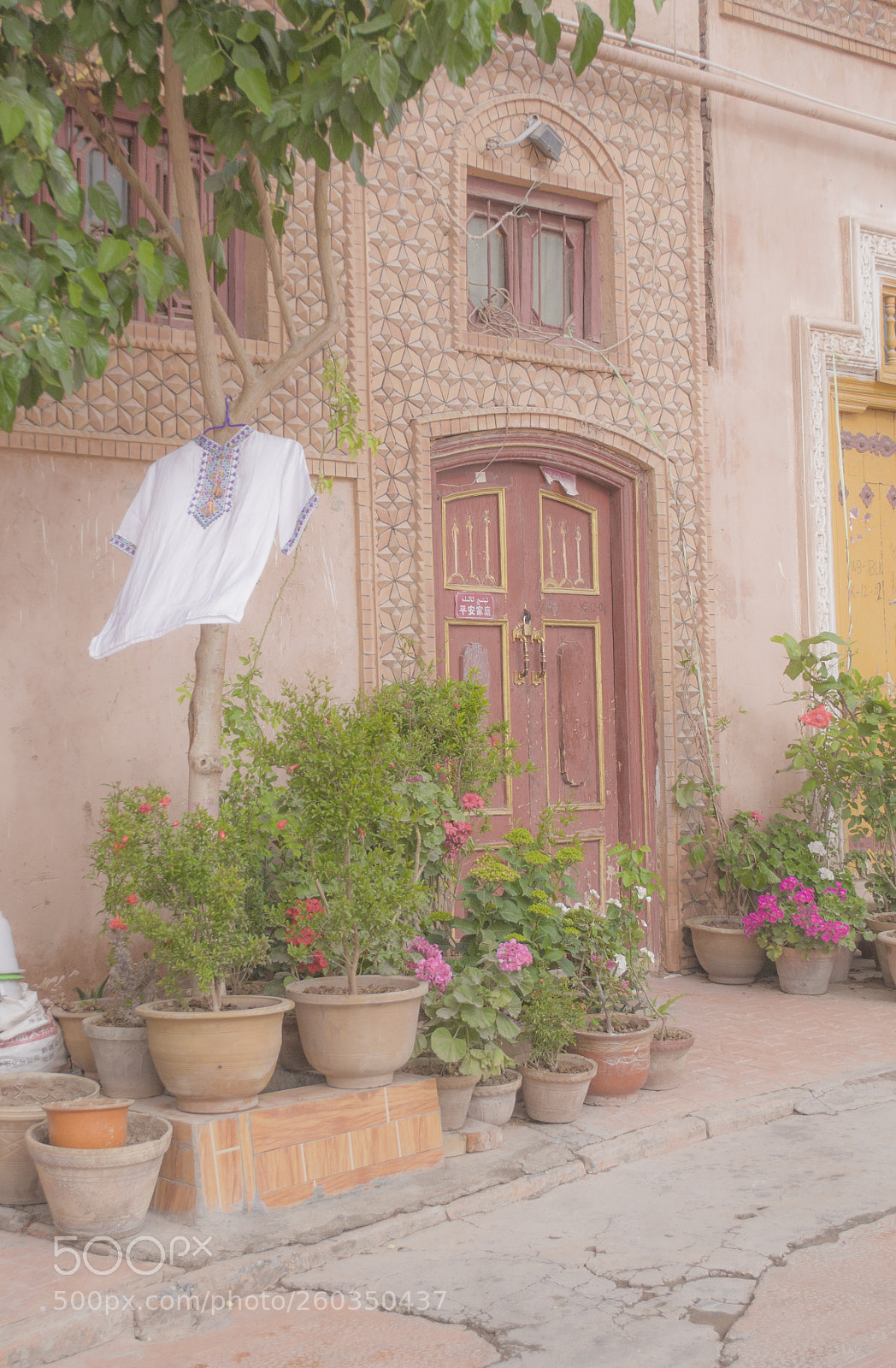 Nikon D3100 sample photo. Untitled photography