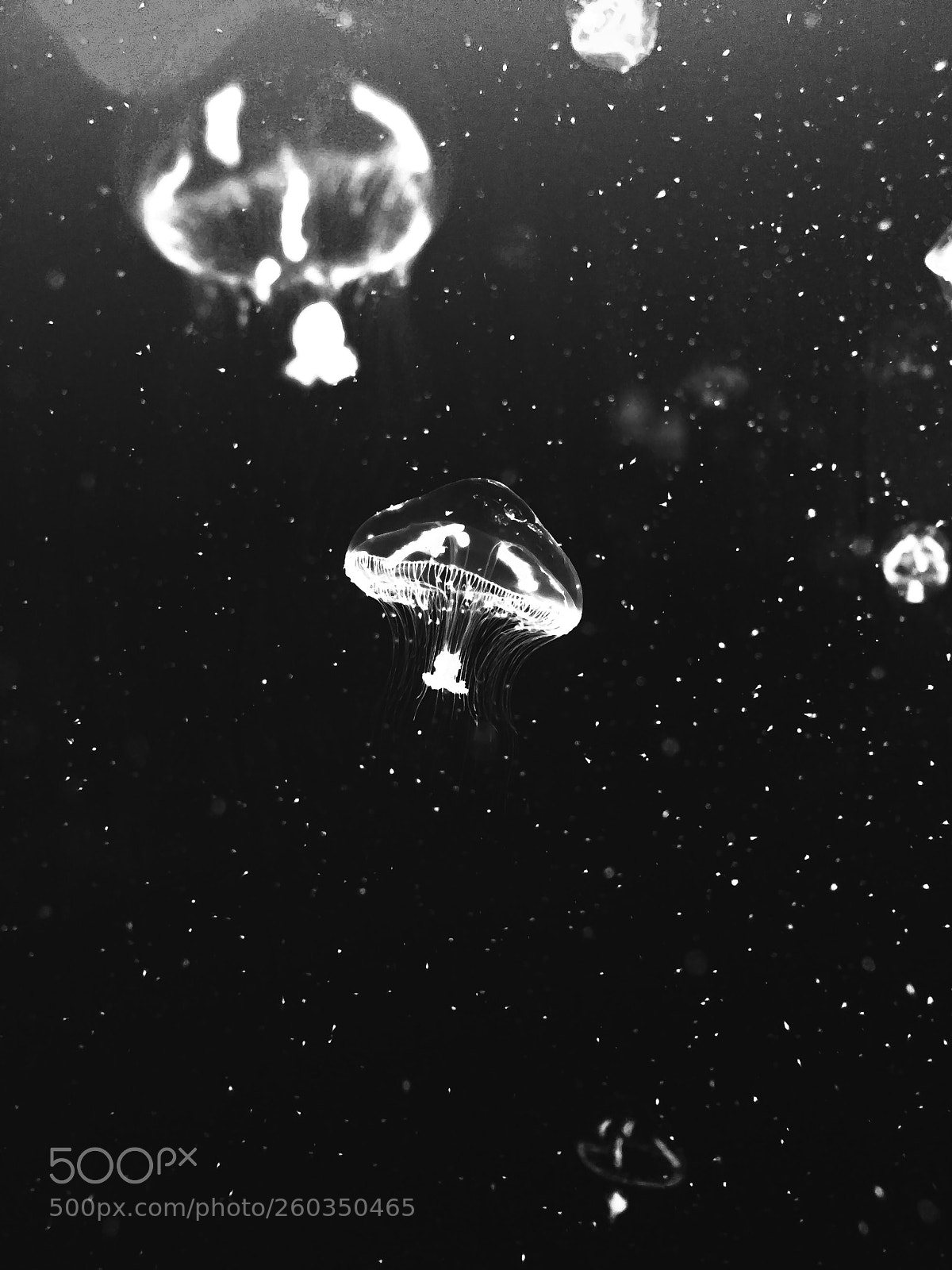 Apple iPhone 6 sample photo. Lost in space photography