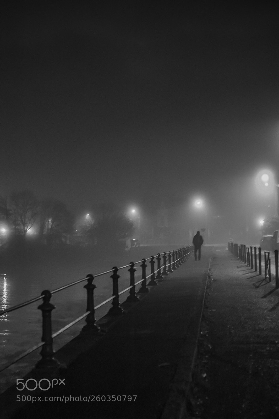 Nikon D700 sample photo. Brouillard dans le port photography