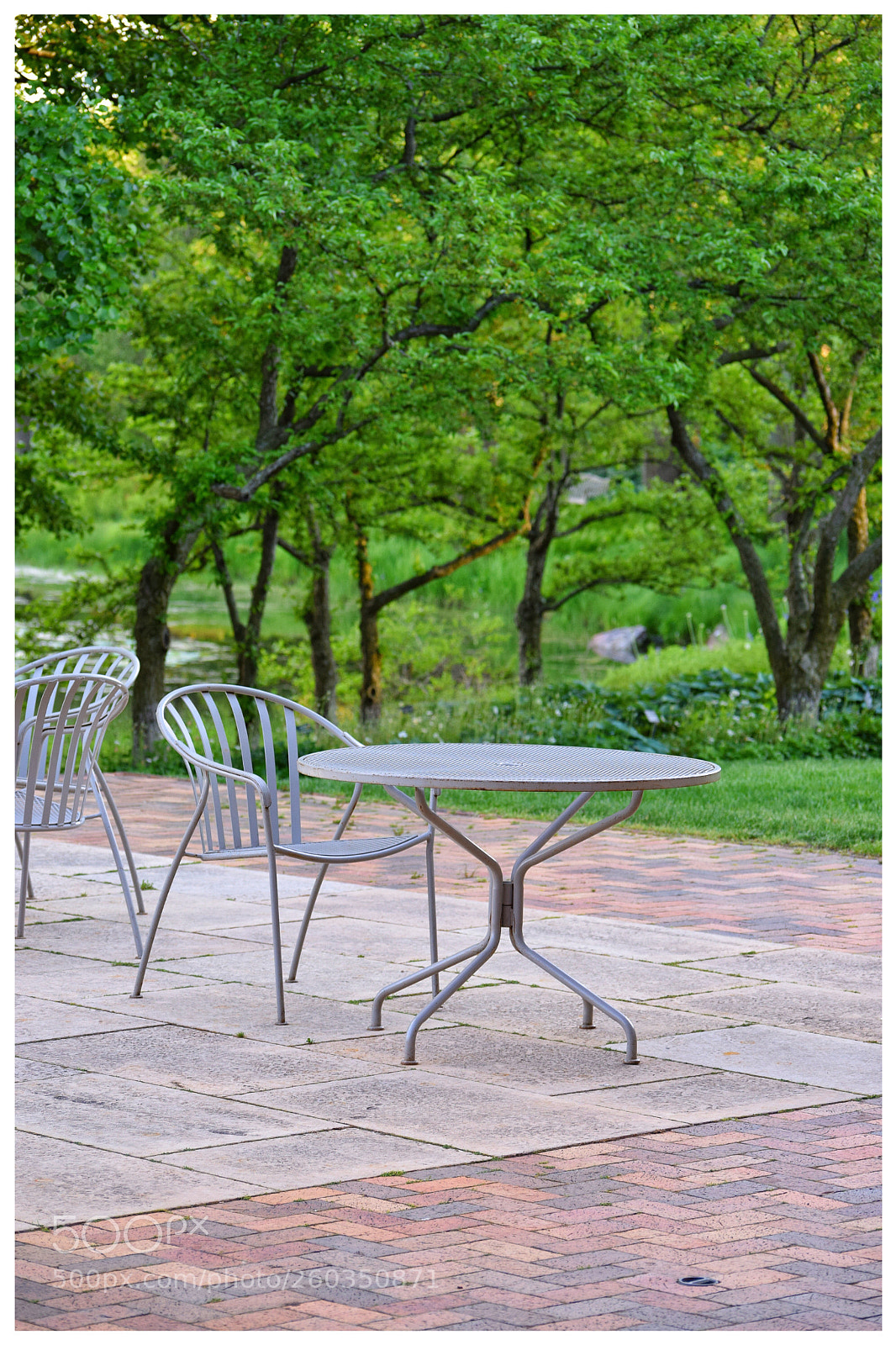 Nikon D3300 sample photo. Garden photography