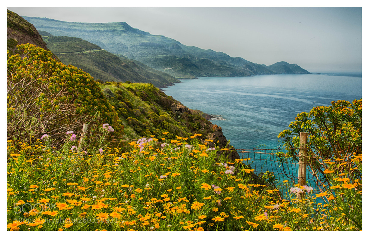 Nikon D800 sample photo. Sardinian coastline photography