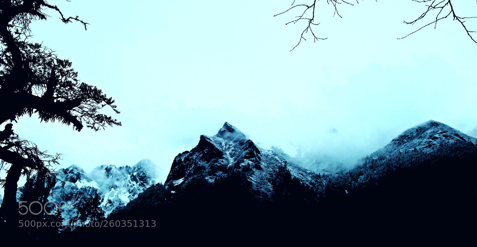 Canon EOS 6D sample photo. Untitled photography