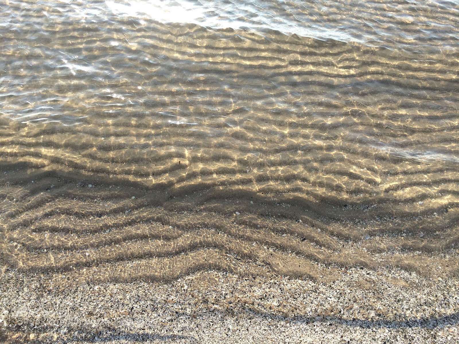 Apple iPhone 5s sample photo. Untitled photography