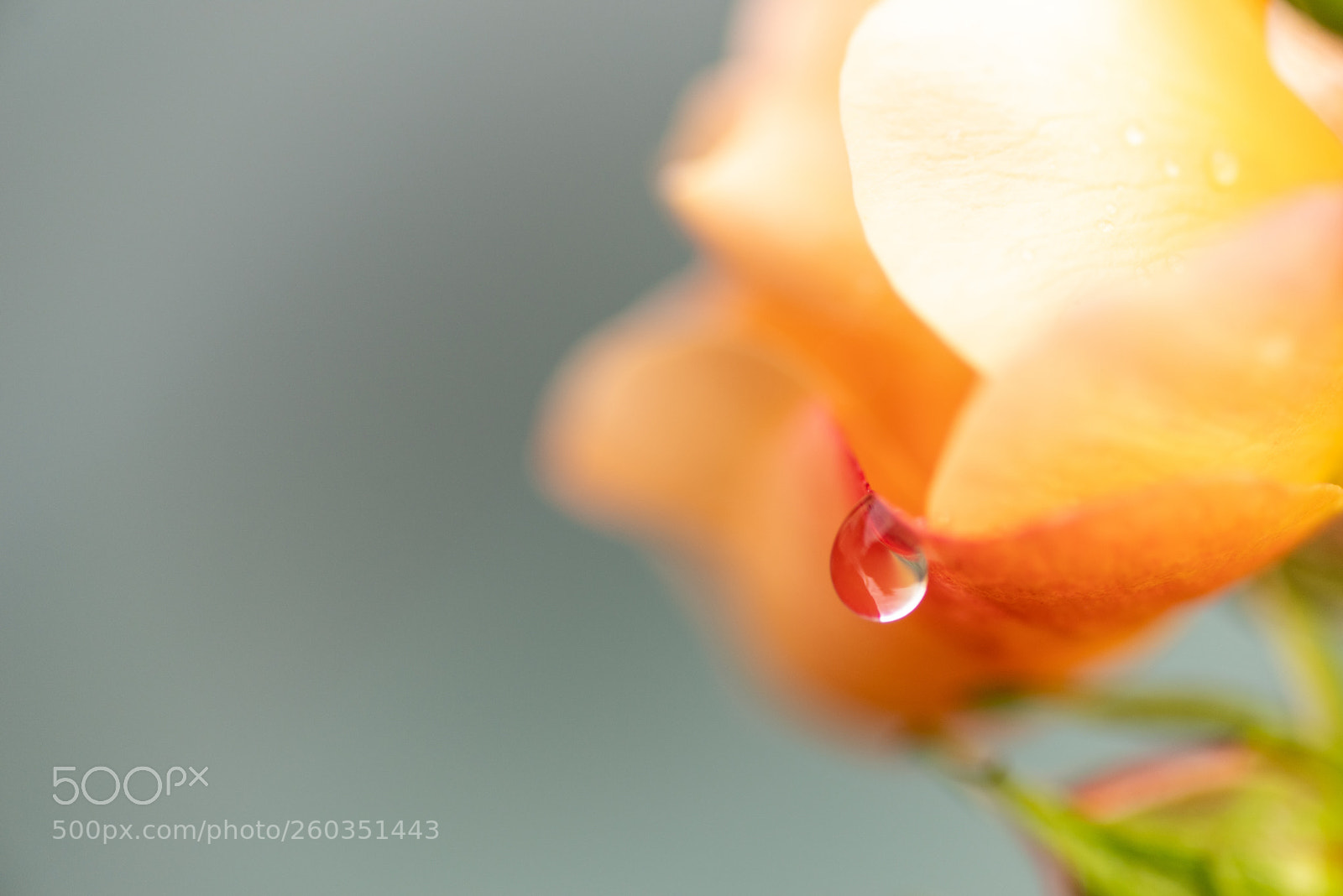 Pentax K-1 sample photo. Tears don't fall photography