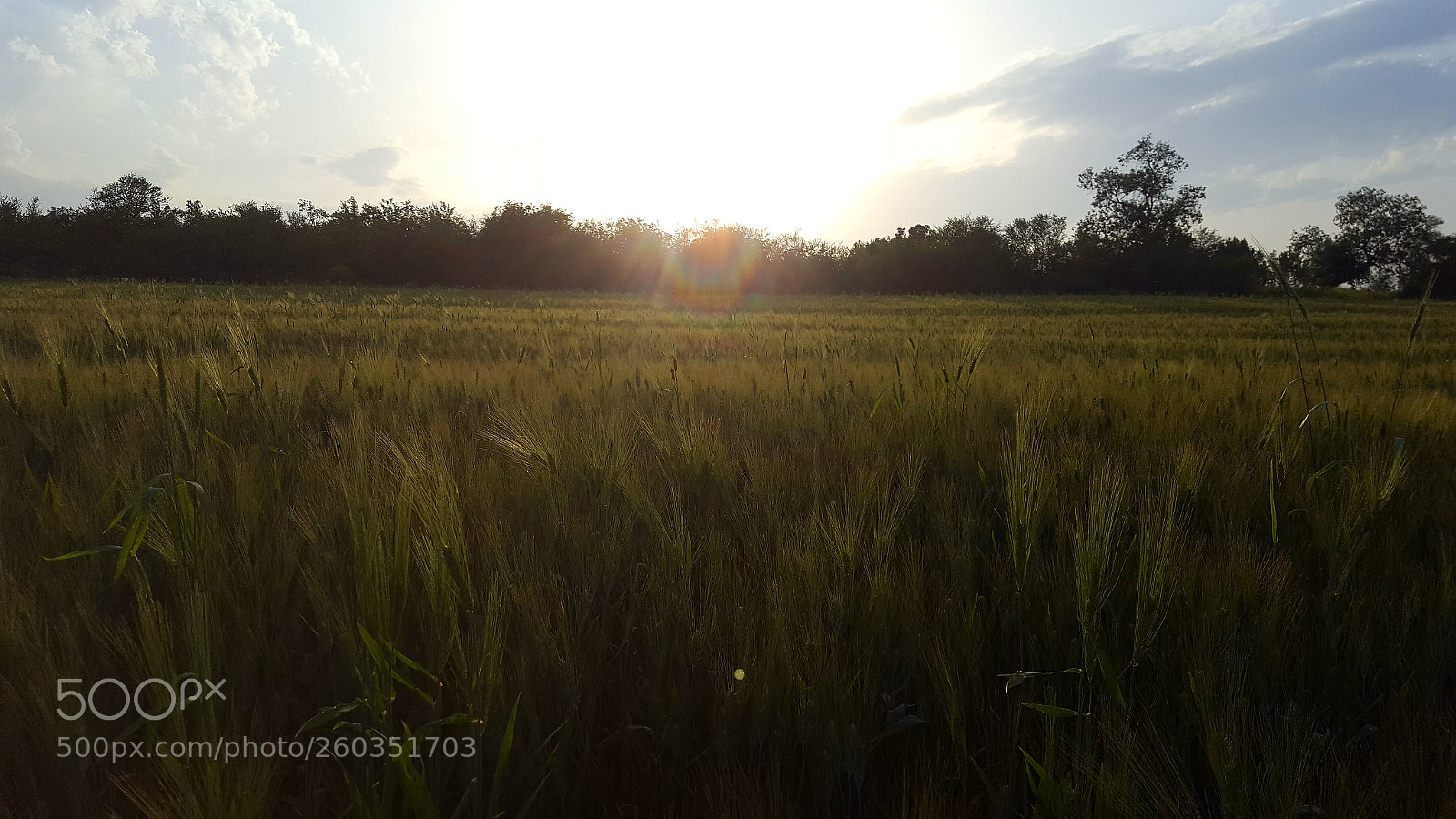 Samsung Galaxy S6 sample photo. Untitled photography