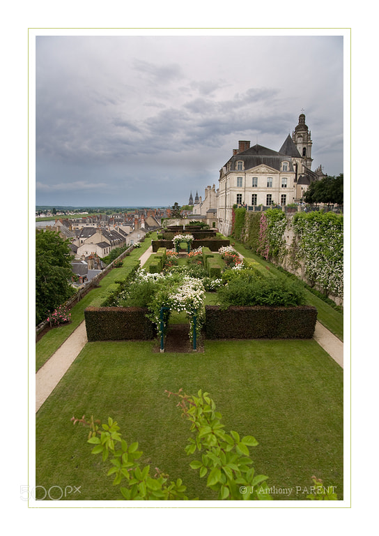 Nikon D90 sample photo. La roseraie de blois photography