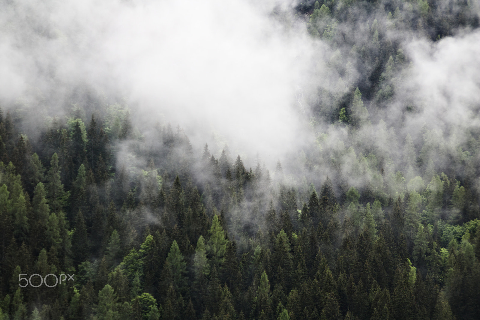Canon EOS 750D (EOS Rebel T6i / EOS Kiss X8i) sample photo. Foggy clouds rising from dark mountain fore photography