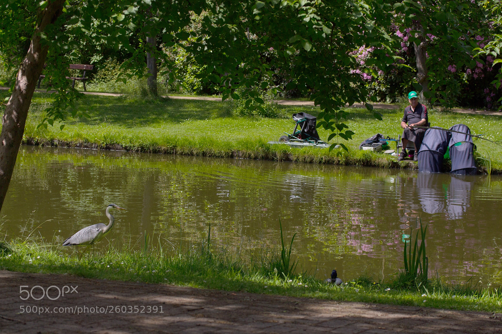 Canon EOS 700D (EOS Rebel T5i / EOS Kiss X7i) sample photo. Angler and real fisher photography