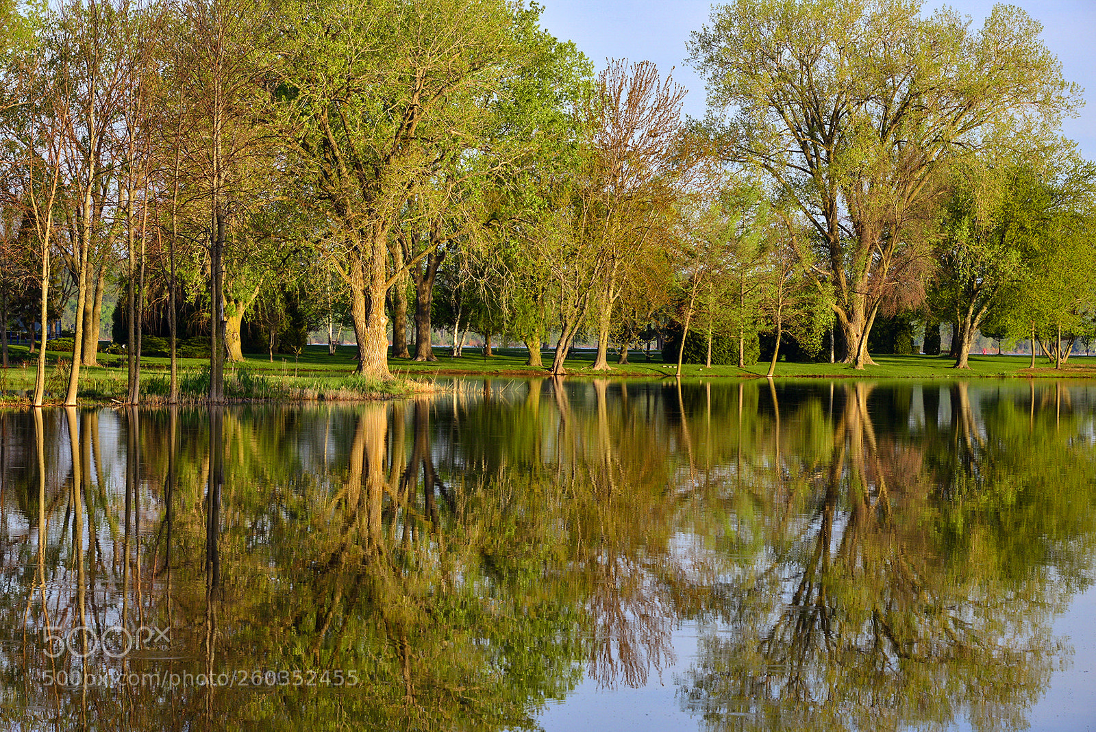 Nikon D610 sample photo. Spring reflection photography