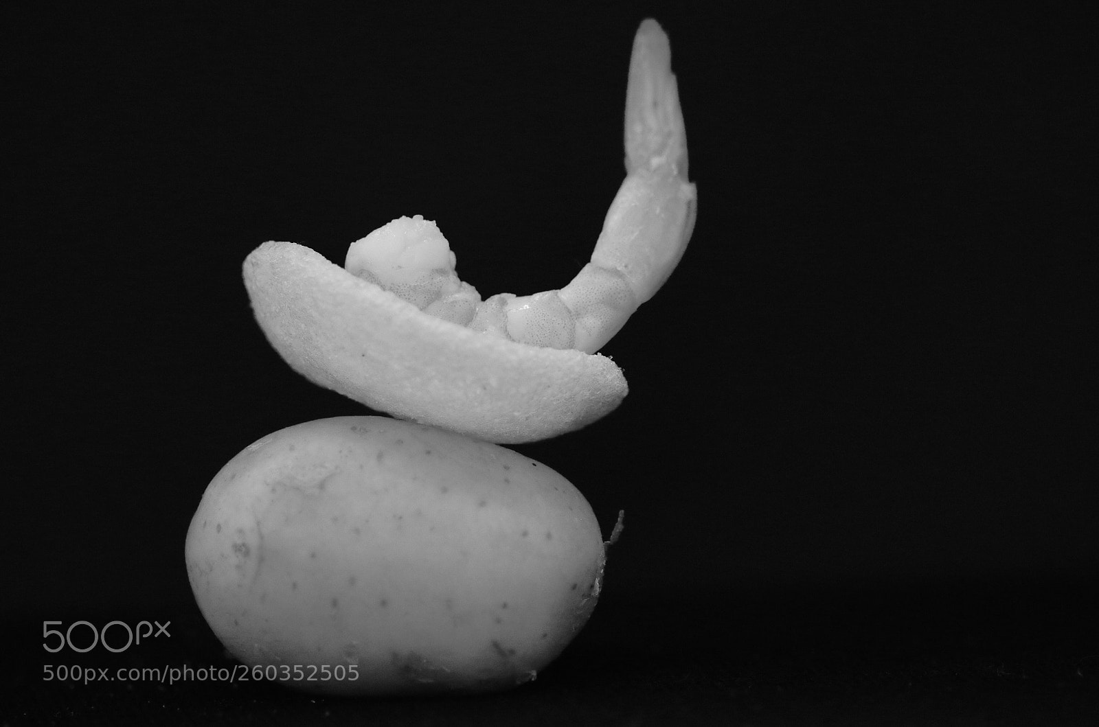 Pentax K-30 sample photo. Prawn crackers photography