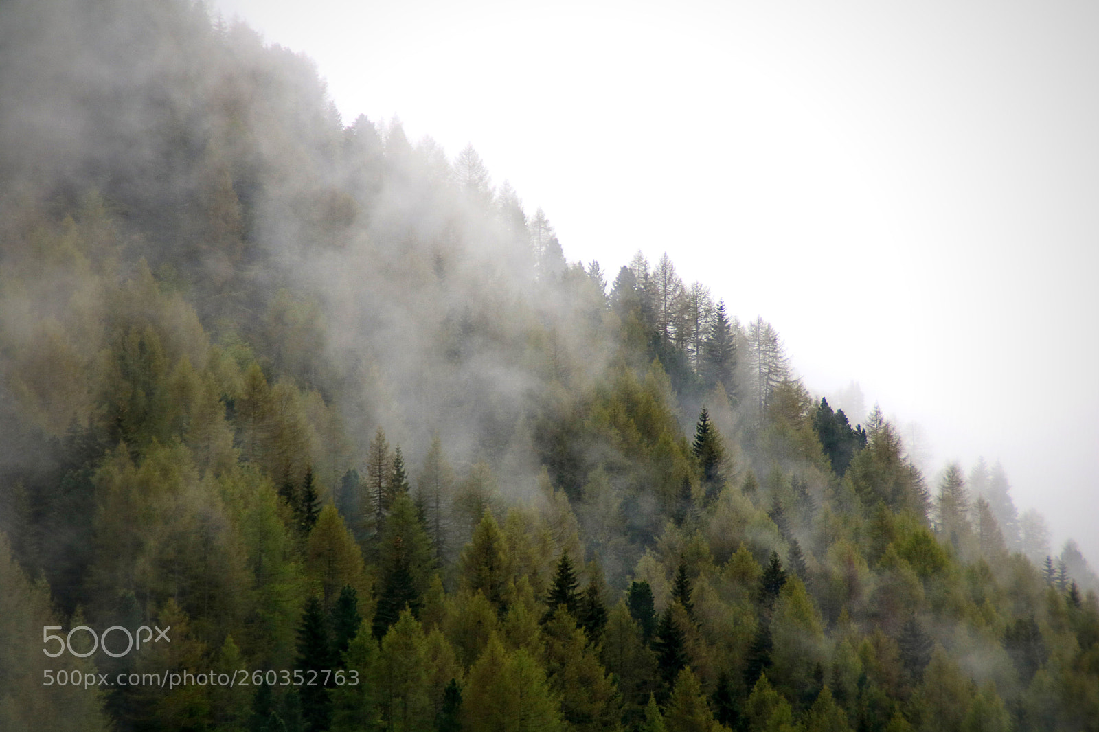 Canon EOS 750D (EOS Rebel T6i / EOS Kiss X8i) sample photo. Foggy clouds rising from photography