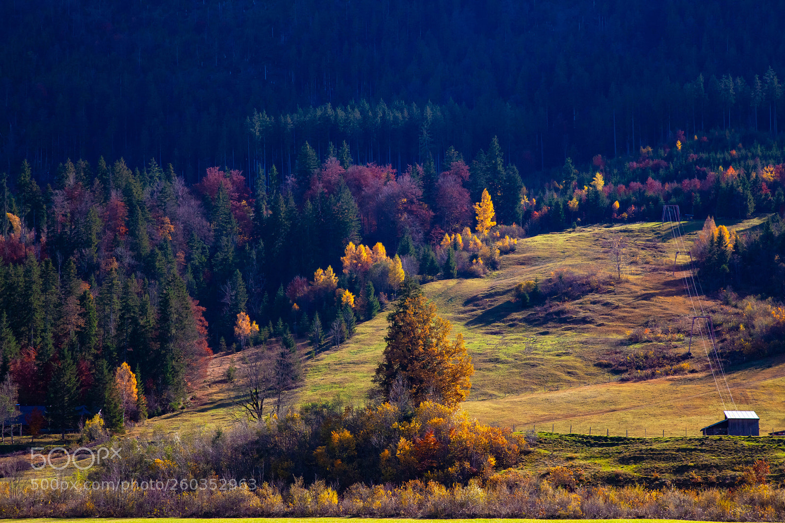 Canon EOS 5D Mark II sample photo. Herbst am walchensee 2 photography
