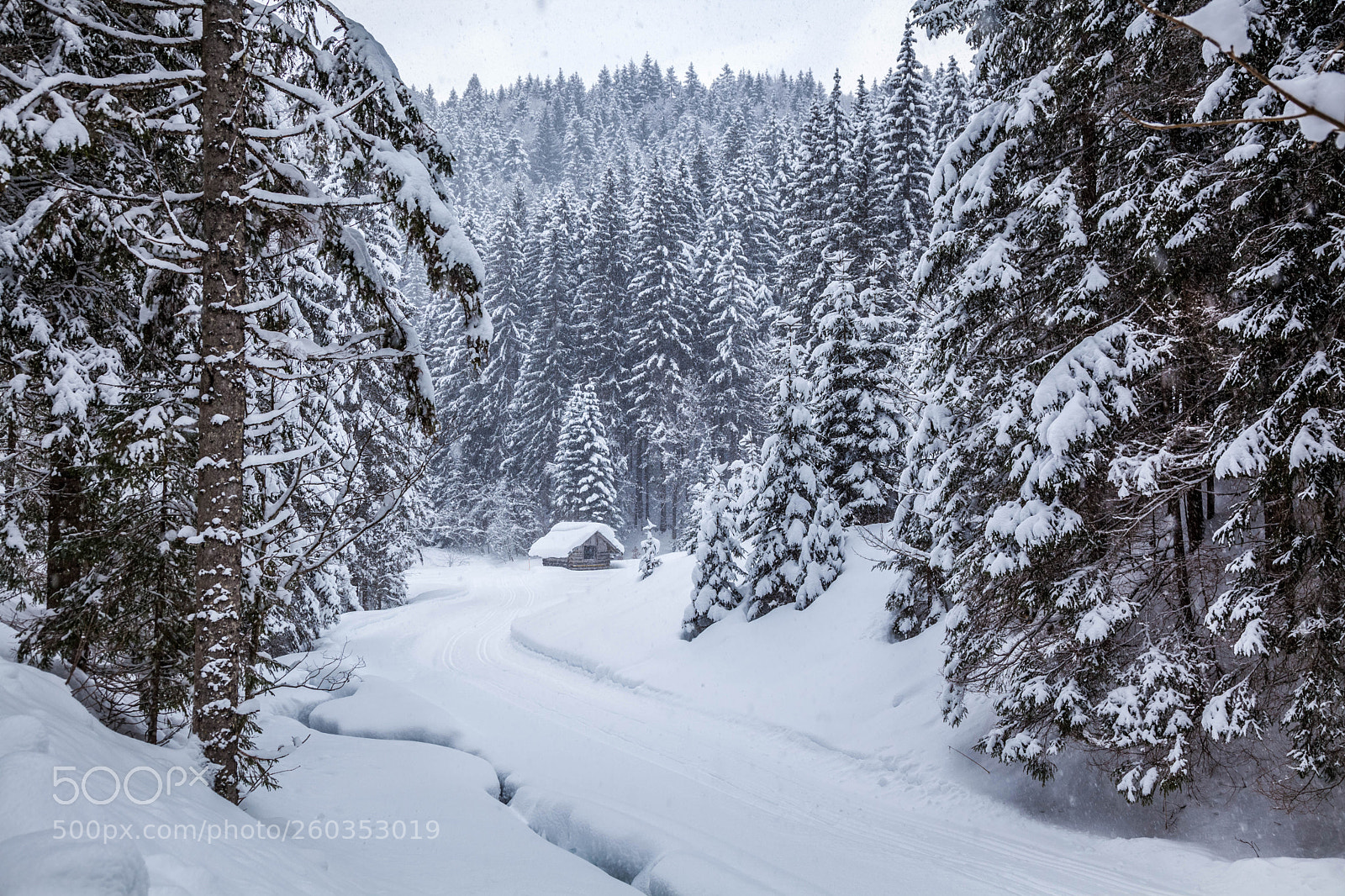 Canon EOS 5D Mark II sample photo. Winter in der elmau photography