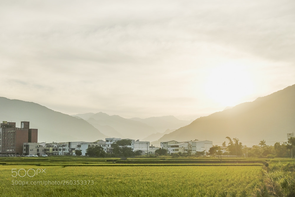 Fujifilm X-T20 sample photo. Untitled photography