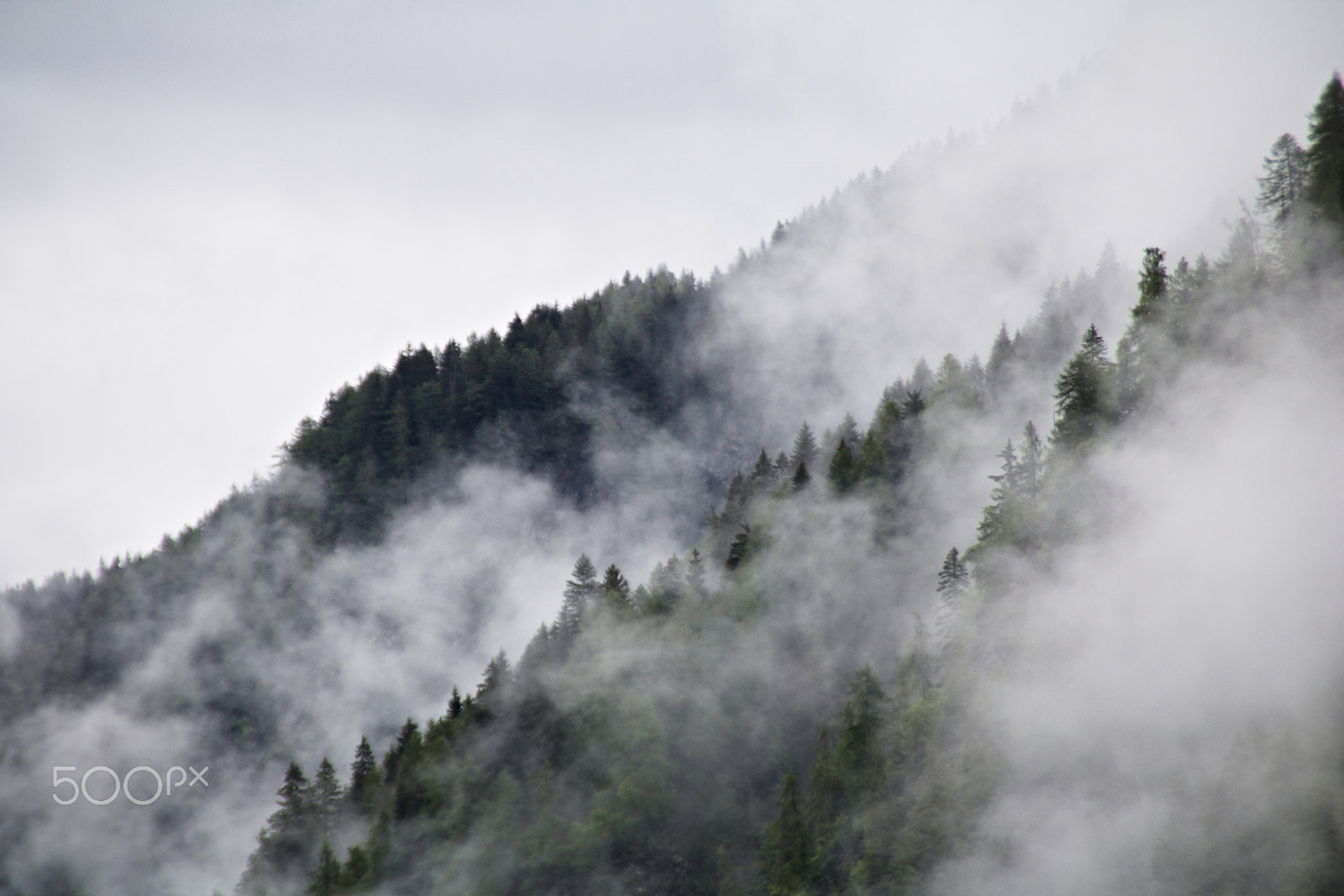 Canon EOS 750D (EOS Rebel T6i / EOS Kiss X8i) sample photo. Foggy clouds rising from dark mountain fore photography