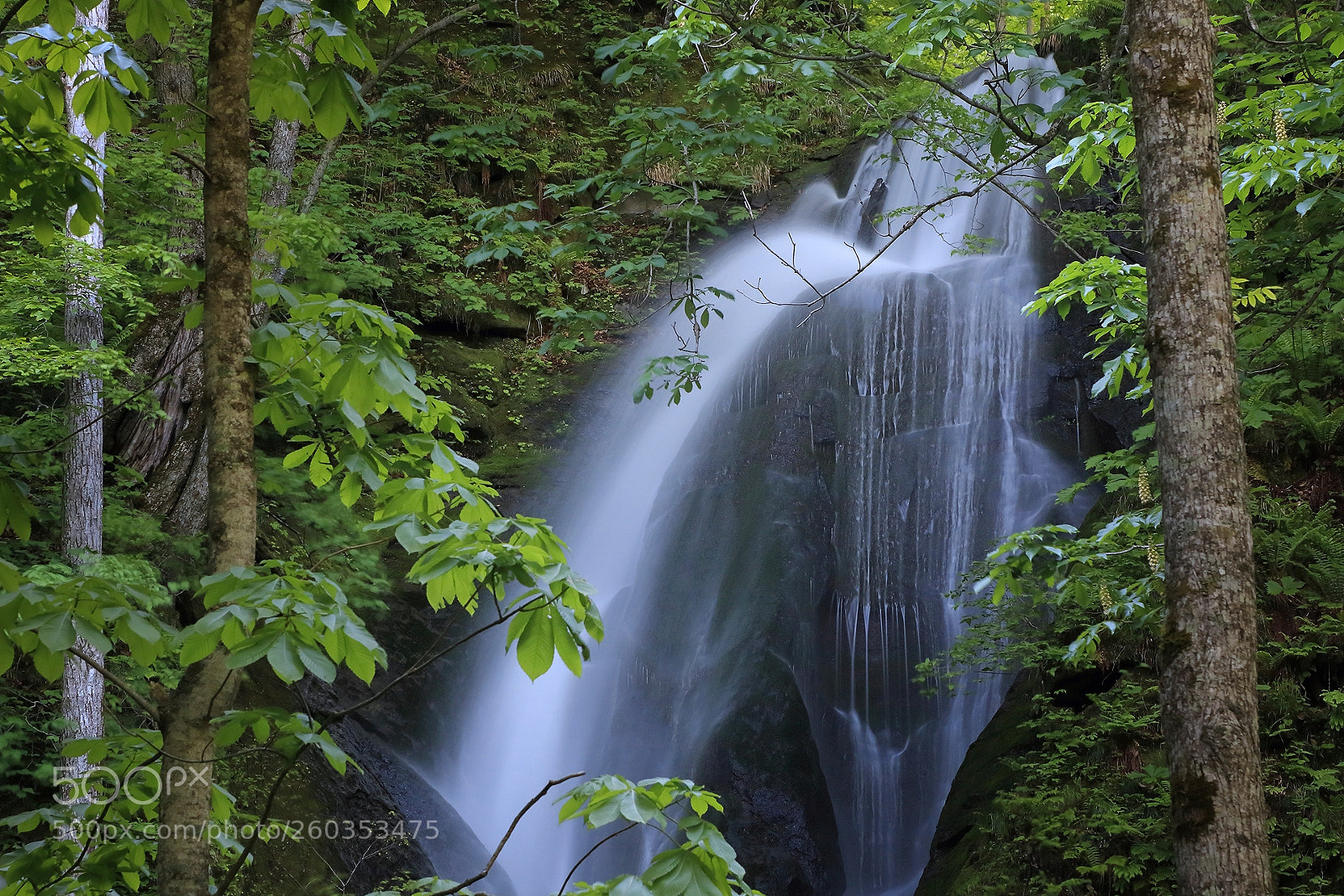 Canon EOS 70D sample photo. Spring stream vii photography