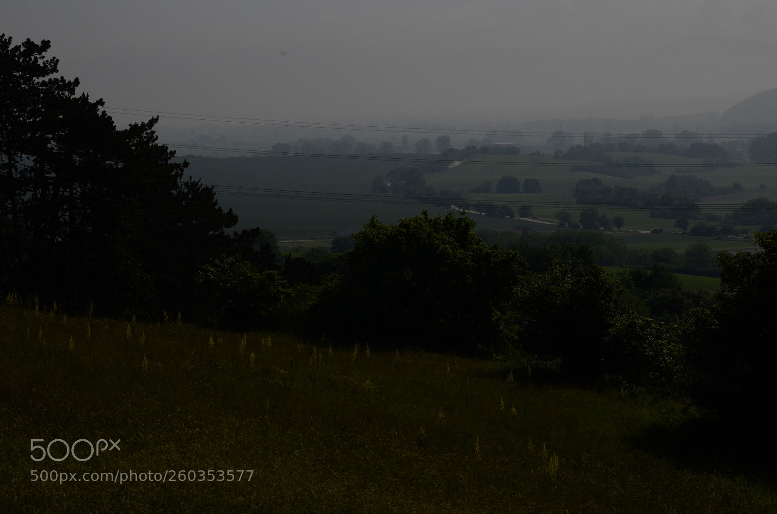 Nikon D5100 sample photo. Dark field photography