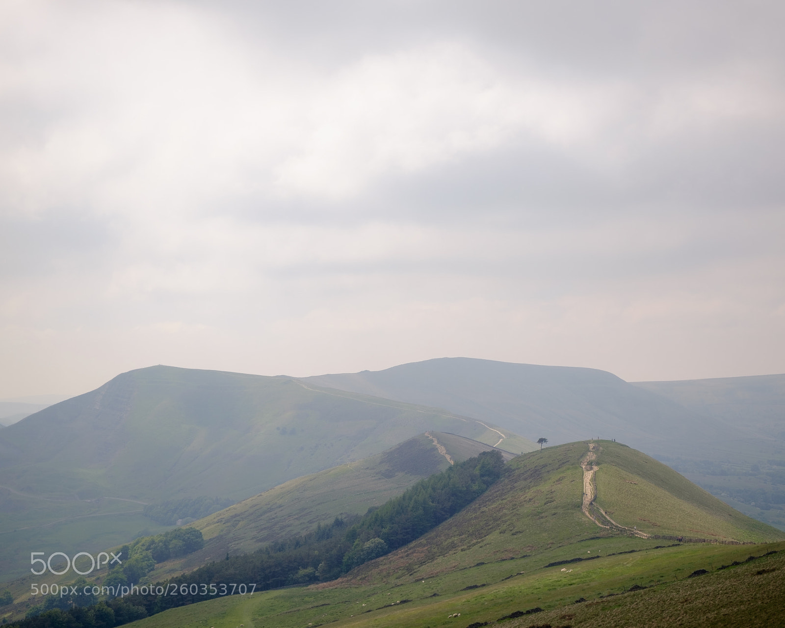 Fujifilm X-T1 sample photo. Mam tor photography