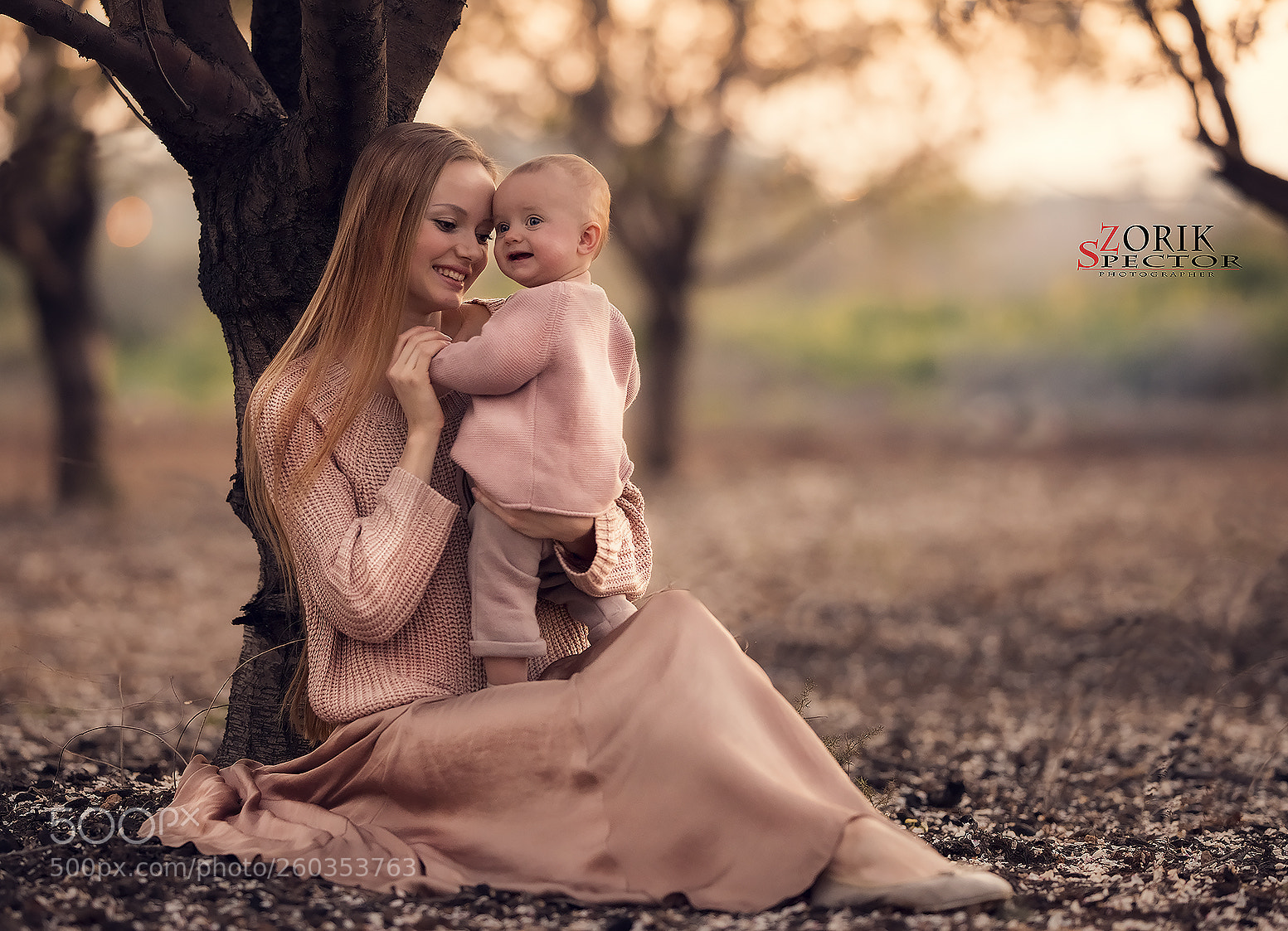 Nikon D800E sample photo. Harmony photography