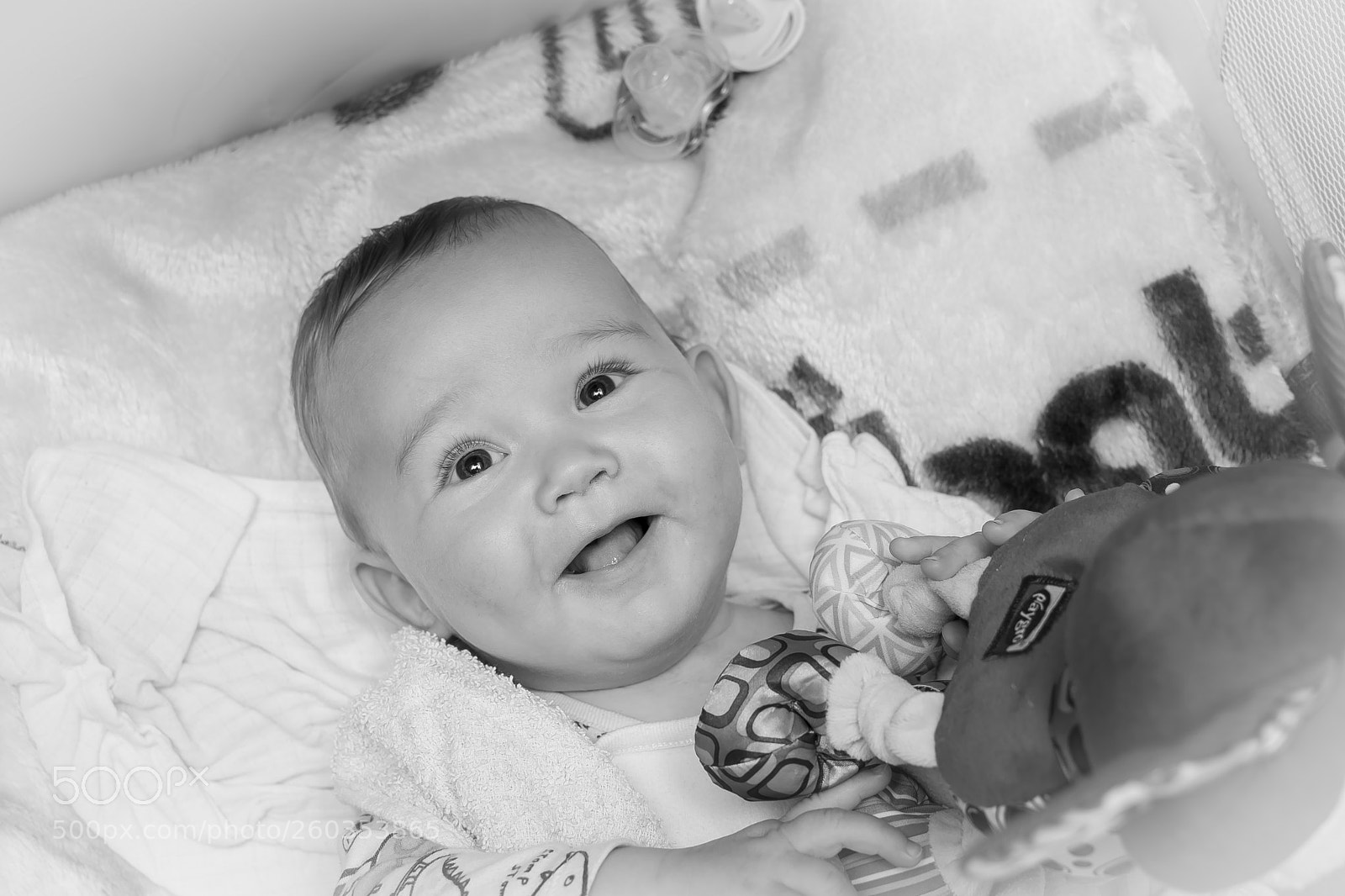 Nikon D7100 sample photo. Jacob photography