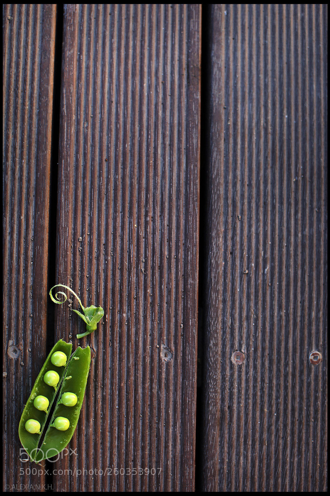 Canon EOS 5D Mark II sample photo. Portrait of a lil photography