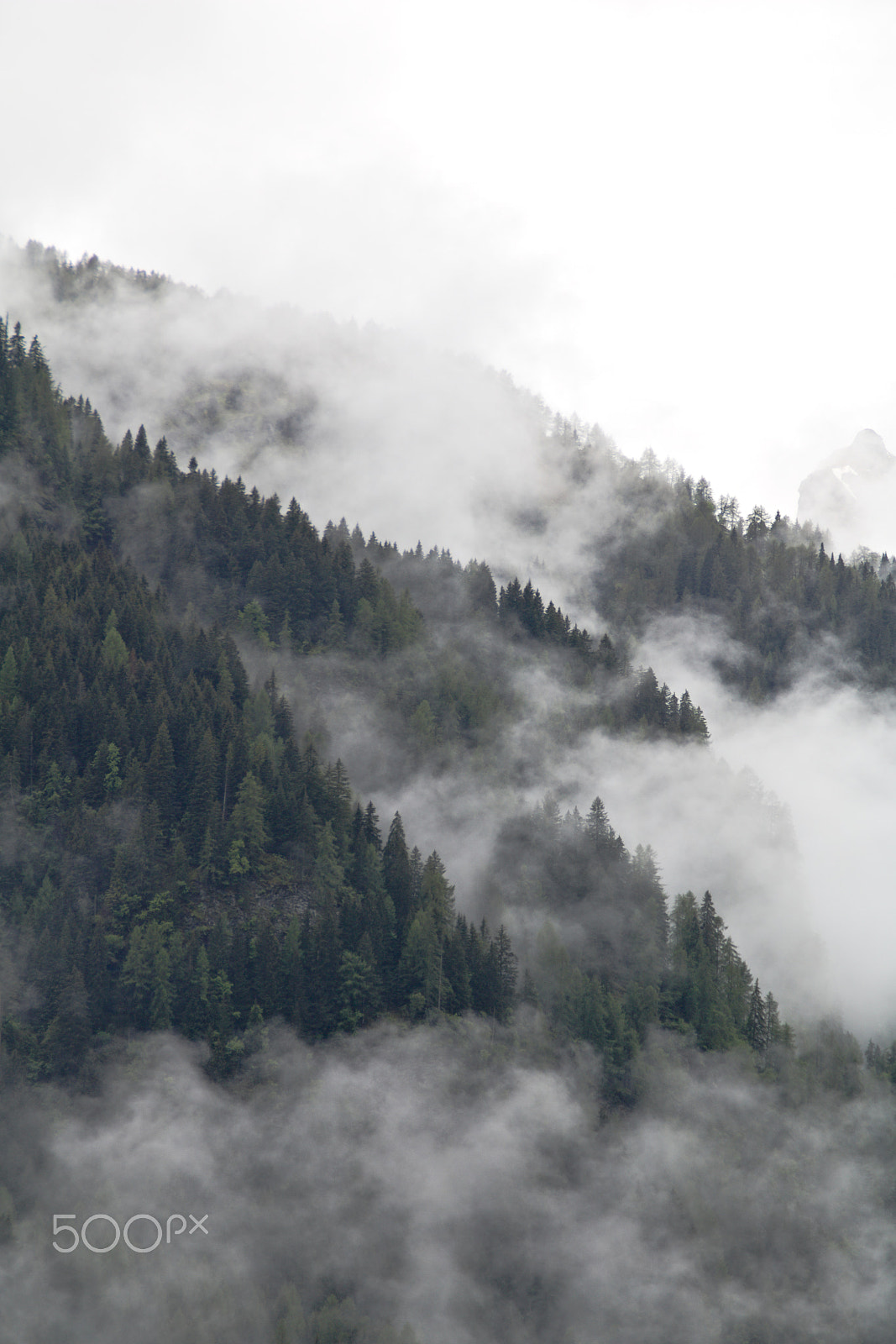 Canon EOS 750D (EOS Rebel T6i / EOS Kiss X8i) sample photo. Foggy clouds rising from dark mountain fore photography