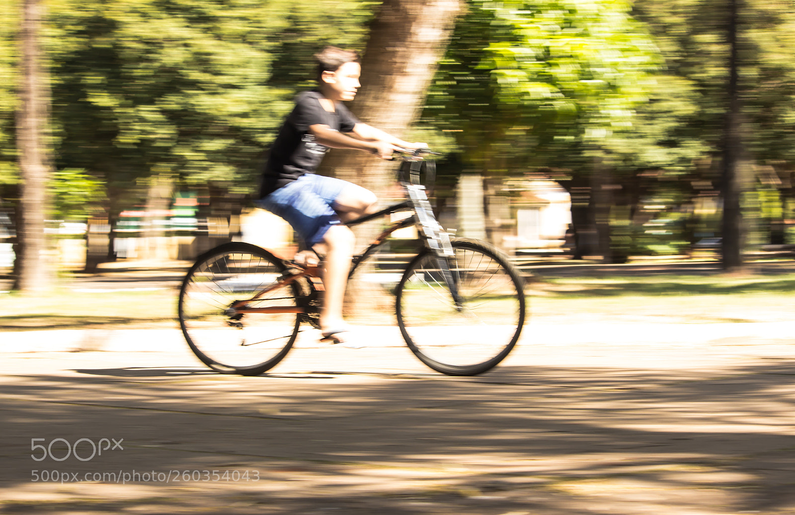Canon EOS 600D (Rebel EOS T3i / EOS Kiss X5) sample photo. Velocidade photography