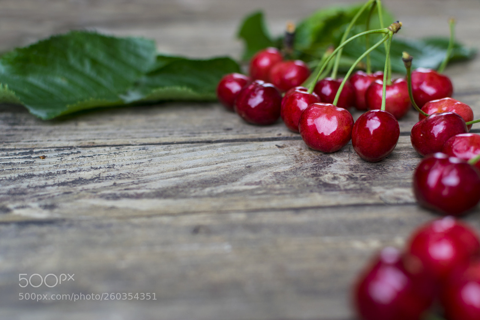 Nikon D3300 sample photo. Freshly picked cherries on photography