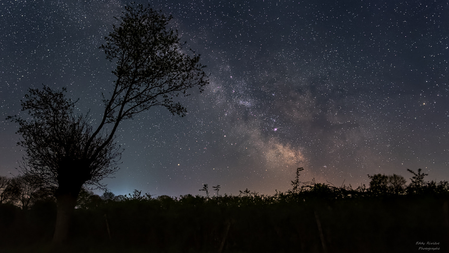 Nikon D810 + Nikon AF-S Nikkor 24mm F1.8G ED sample photo. Milky way photography
