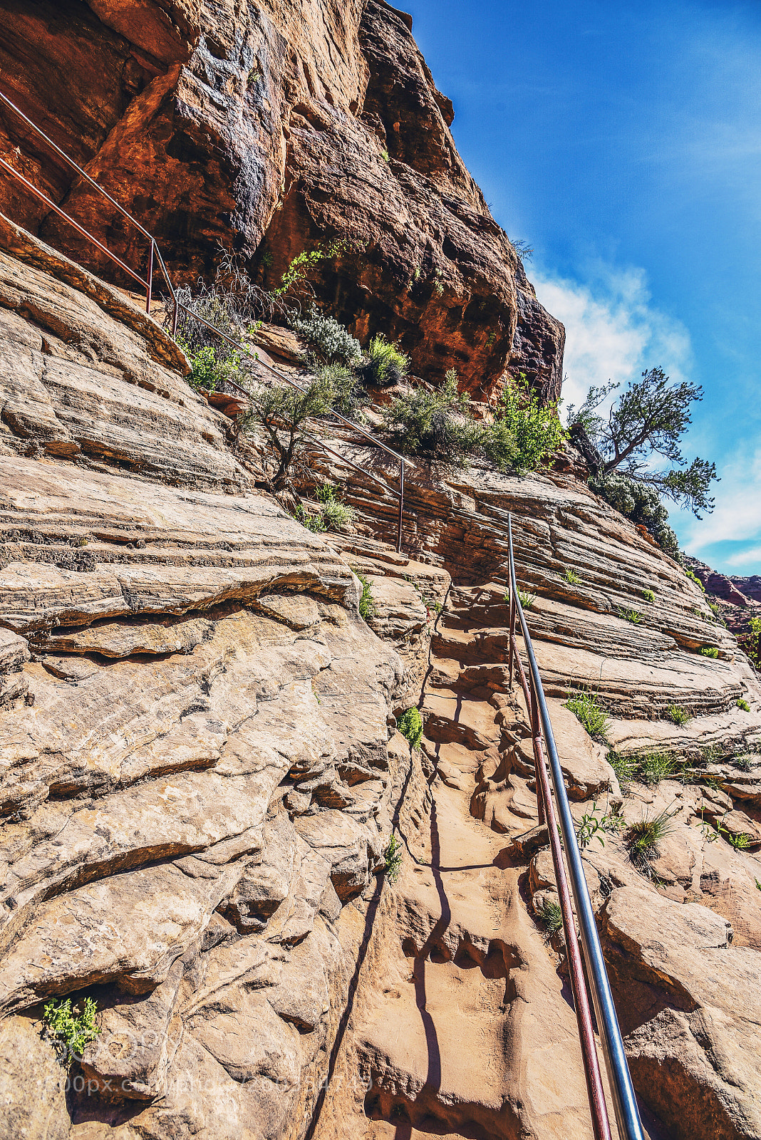 Nikon D750 sample photo. Ascending the trail photography