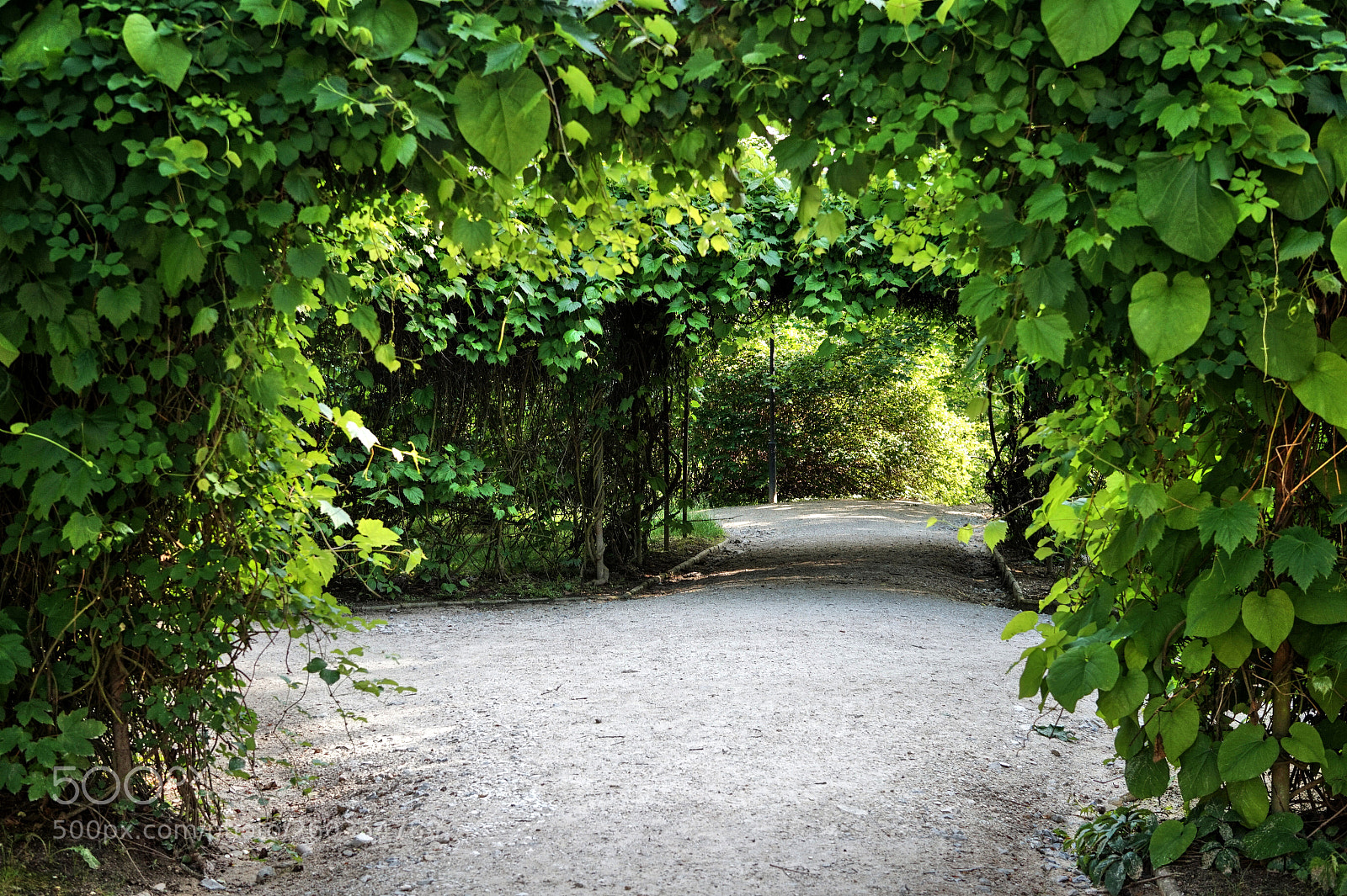 Sony Alpha a5000 (ILCE 5000) sample photo. Garden photography