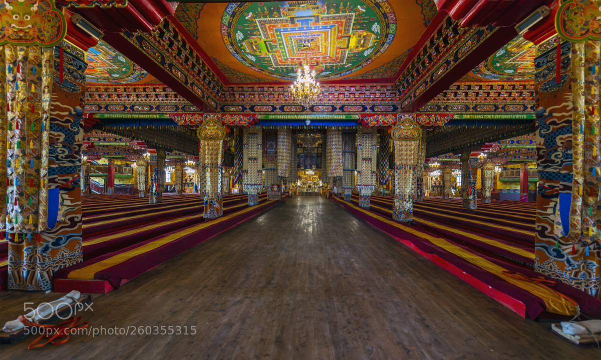 Nikon D800E sample photo. Tibetan buddhist monasteries photography
