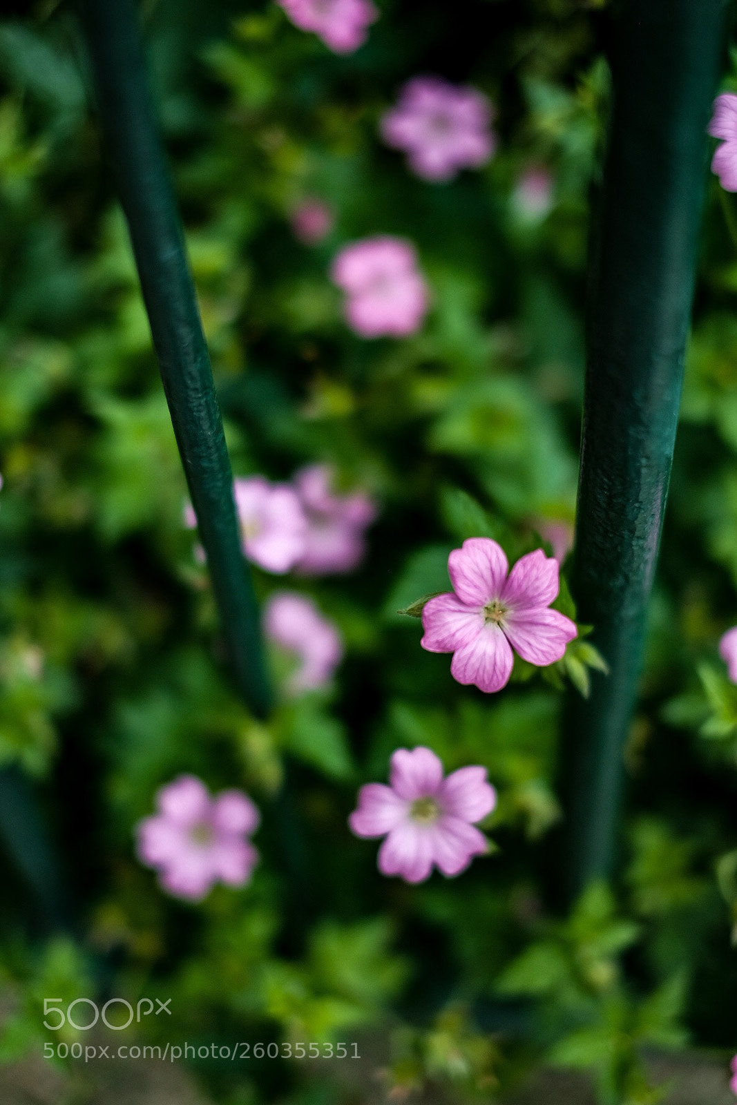 Fujifilm X-T10 sample photo. Untitled photography