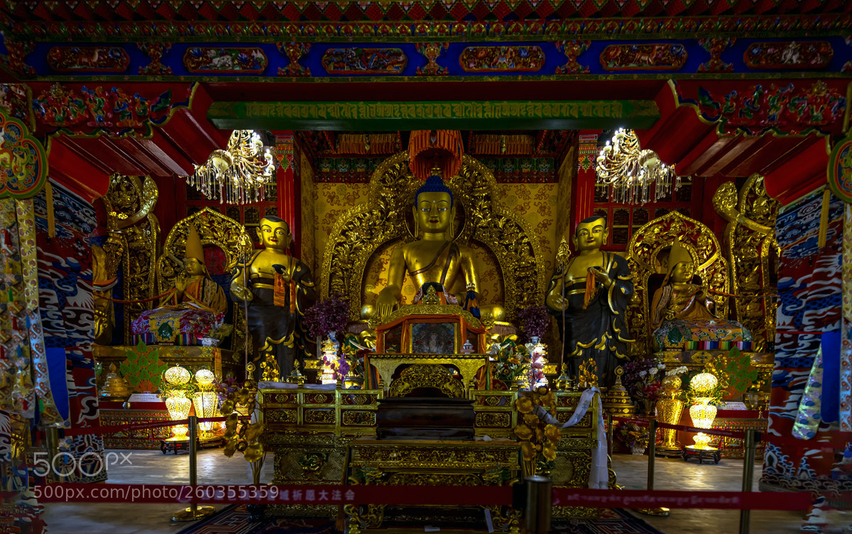 Nikon D800E sample photo. Tibetan buddhist monasteries photography