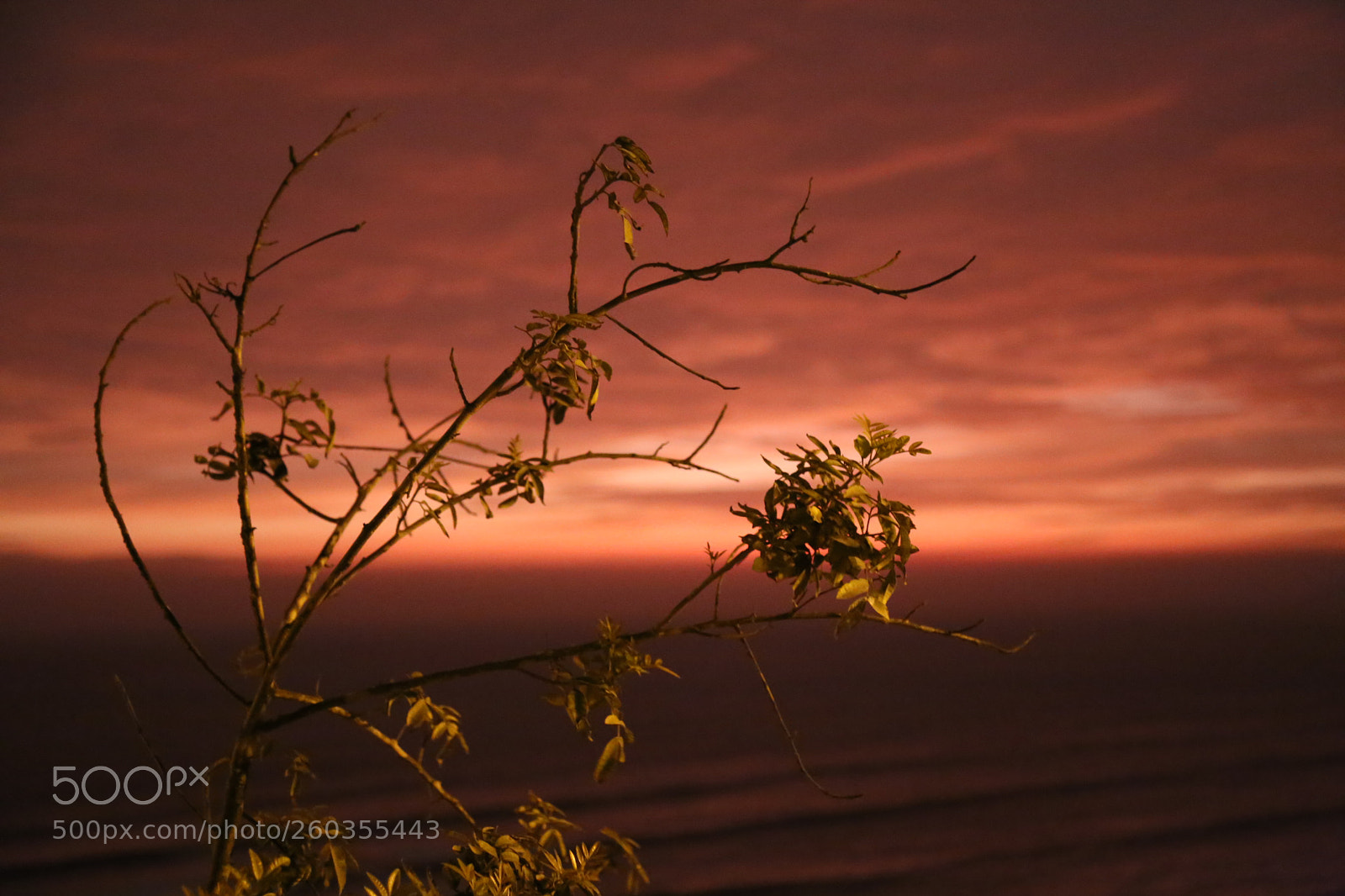 Canon EOS 6D + Canon EF 24-105mm F4L IS USM sample photo. Sundown in lima photography