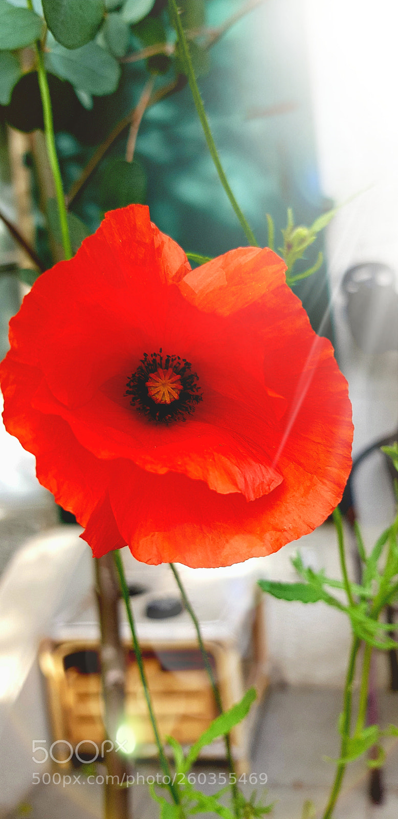 Samsung Galaxy S8 sample photo. Untitled photography