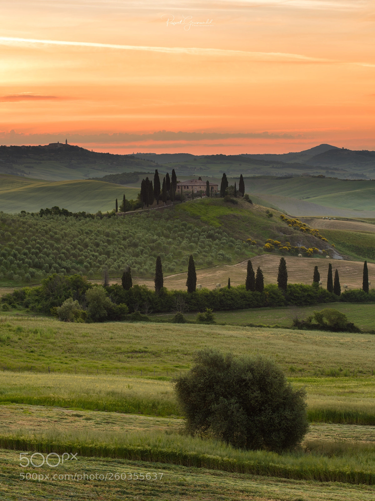 Nikon D810 sample photo. Belvedere photography