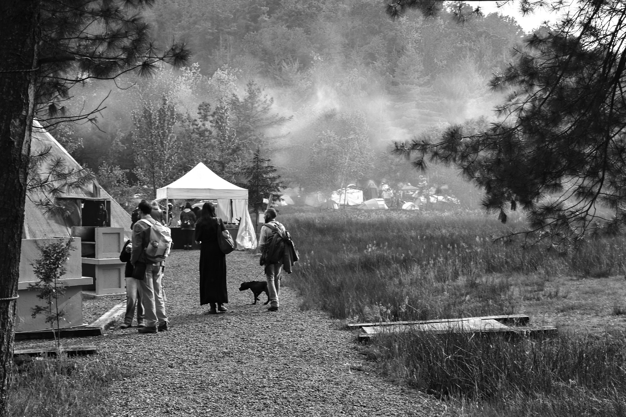 Nikon 1 J5 sample photo. Beltane 2018 photography