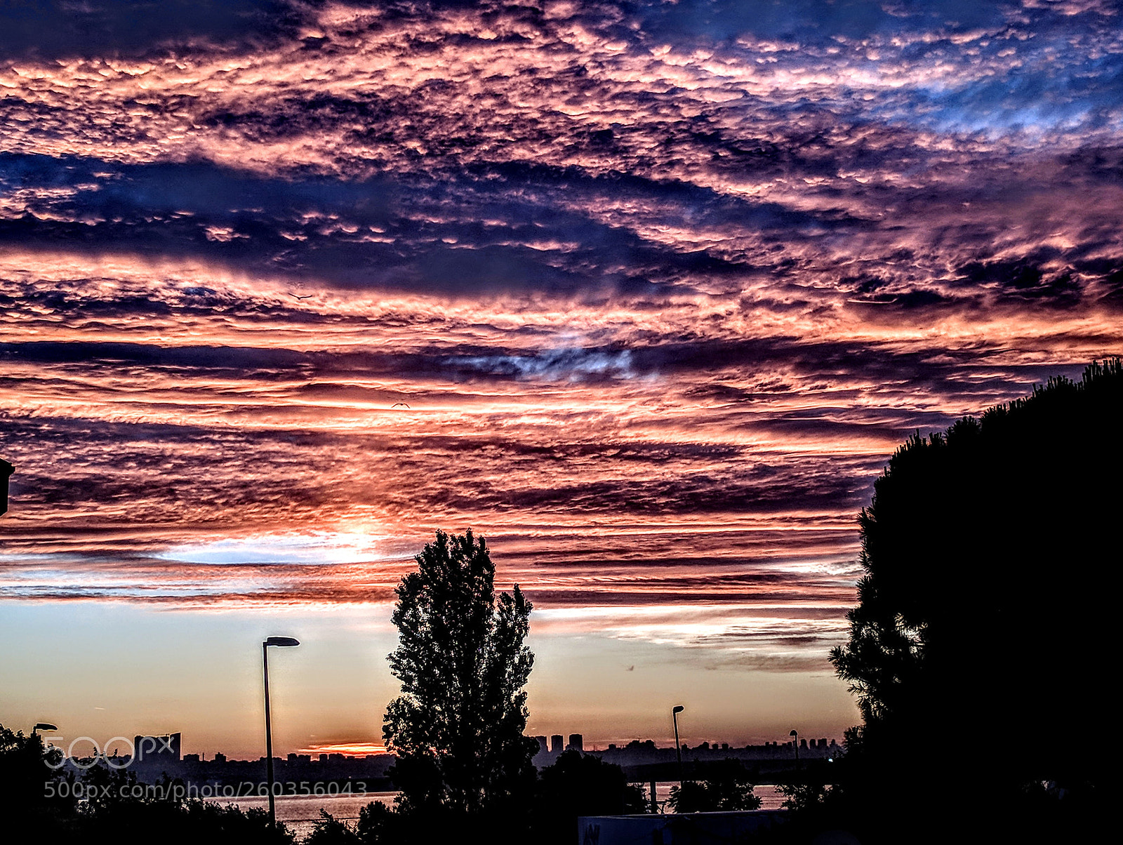 Google Pixel sample photo. Red sky - sunset photography