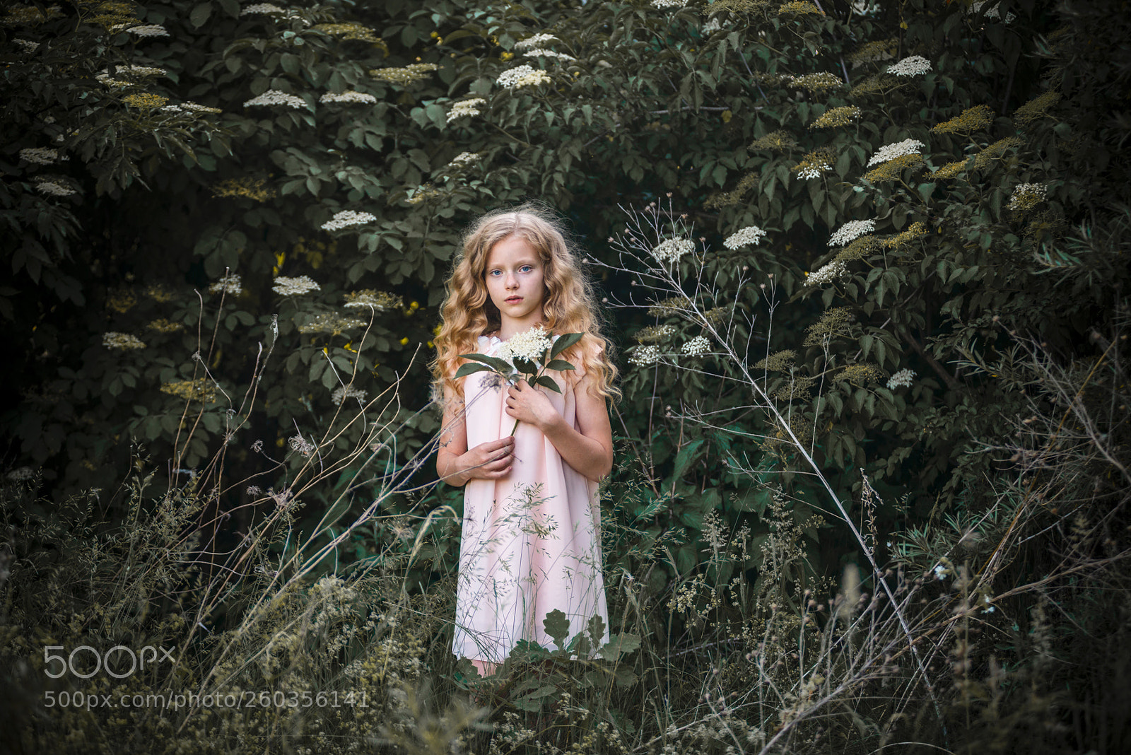 Nikon D610 sample photo. Girl with a flower-2 photography