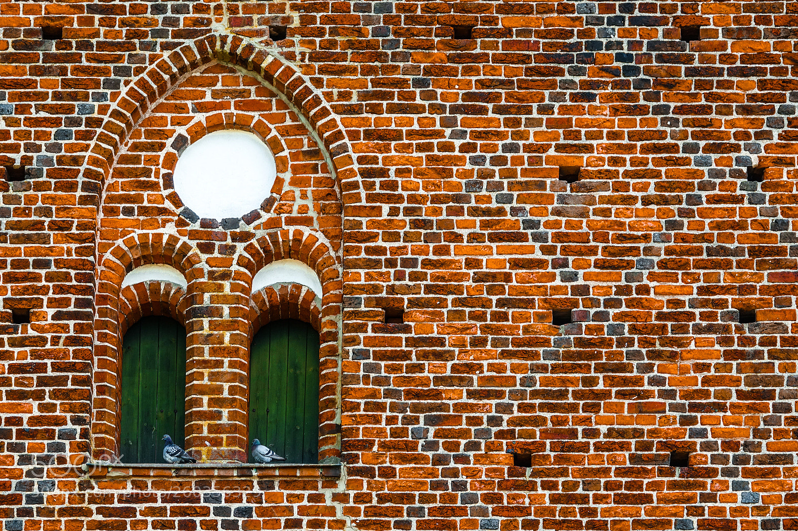 Sony Cyber-shot DSC-RX10 III sample photo. Brickwork and pidgeons photography