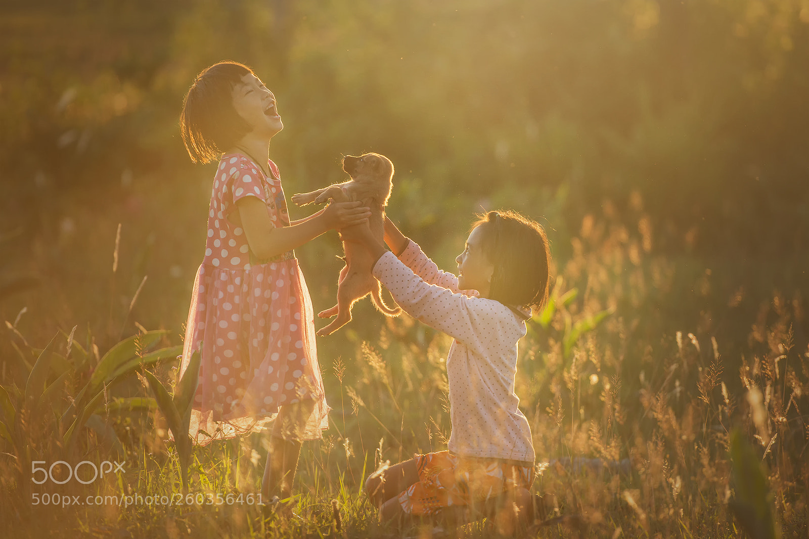 Nikon D800E sample photo. My  friend photography