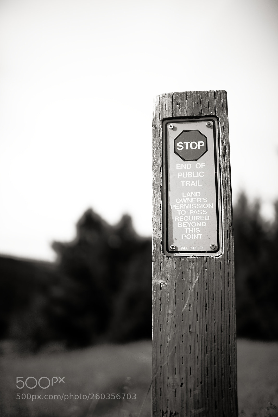 Nikon D810 sample photo. End of public trail photography
