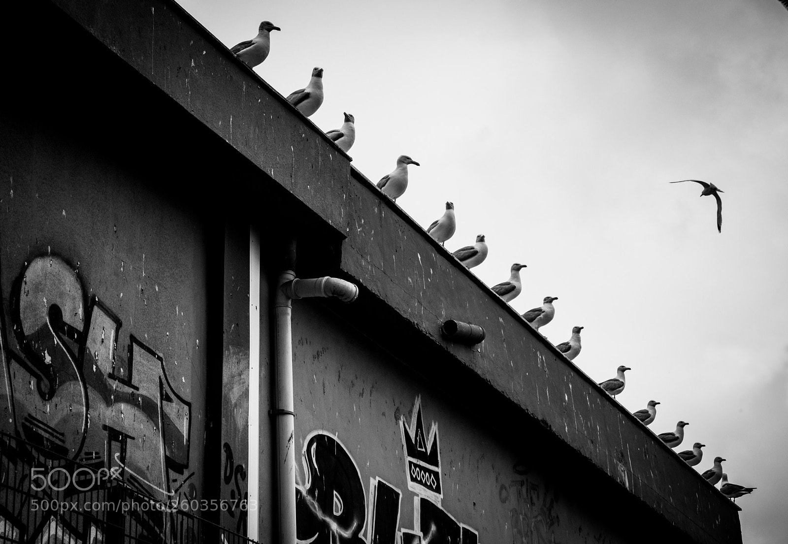 Canon EOS 77D (EOS 9000D / EOS 770D) sample photo. Untitled photography