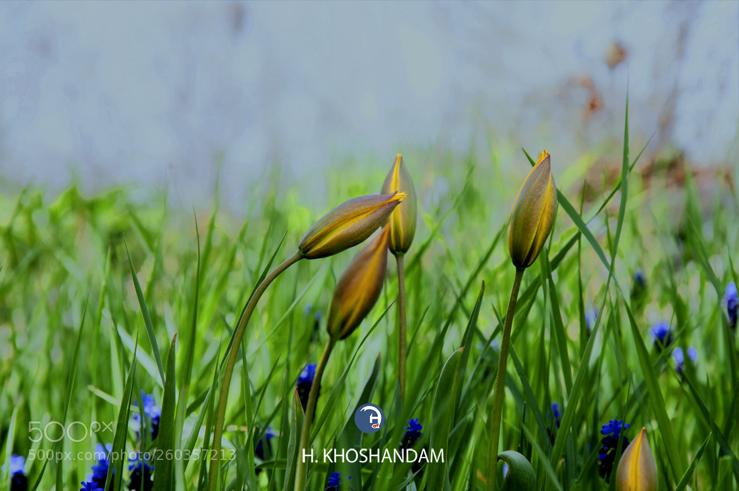 Nikon D90 sample photo. Untitled photography
