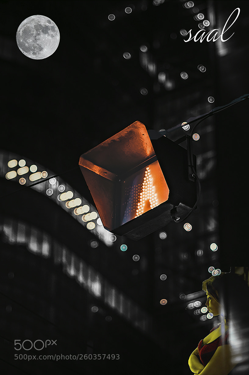 Nikon D5500 sample photo. Wait photography