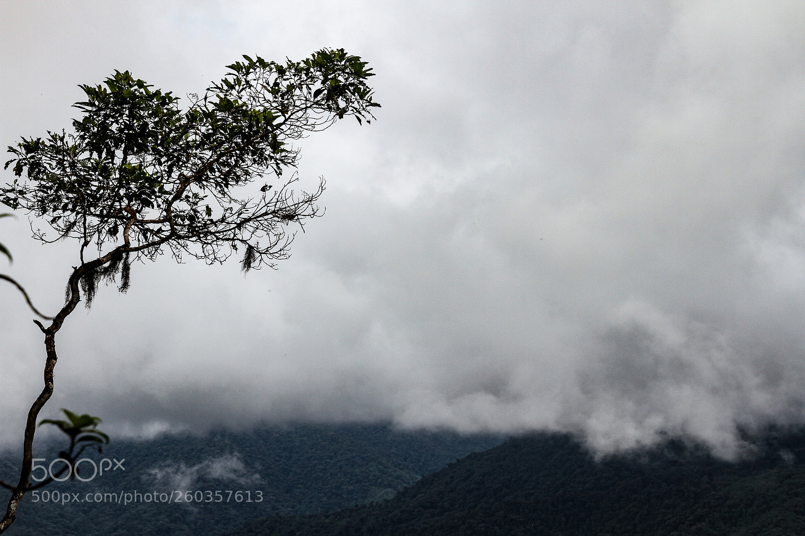 Canon EOS 7D sample photo. World of clouds photography