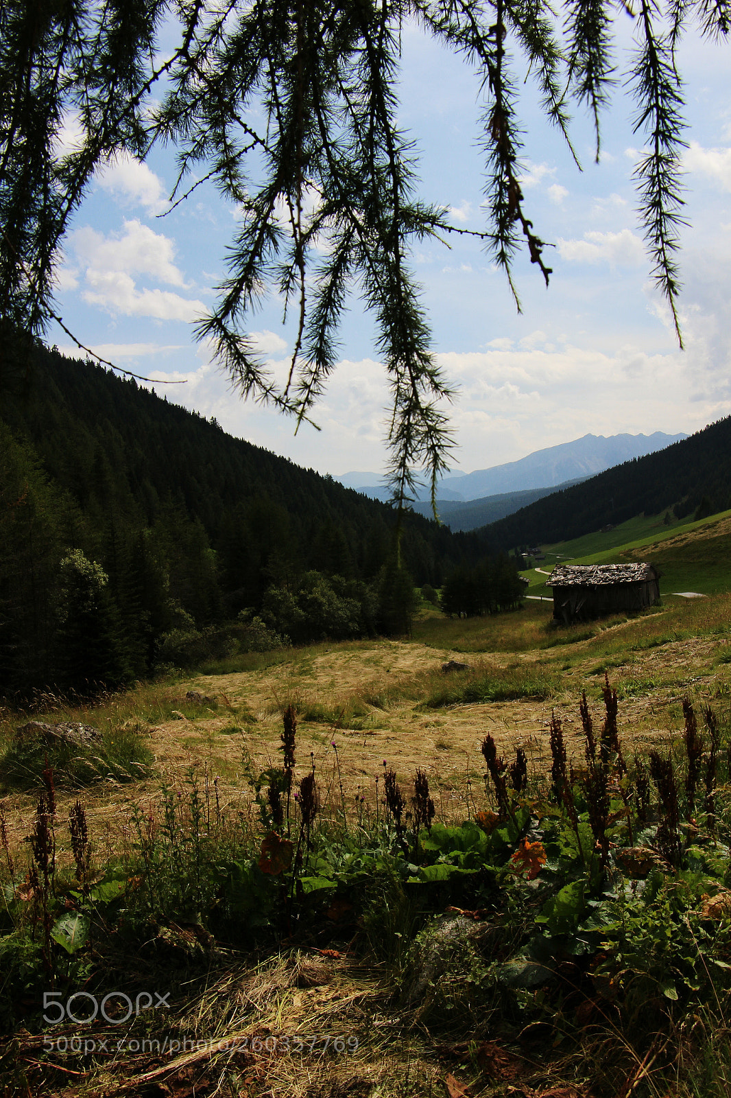 Canon EOS 100D (EOS Rebel SL1 / EOS Kiss X7) sample photo. A beautiful view photography