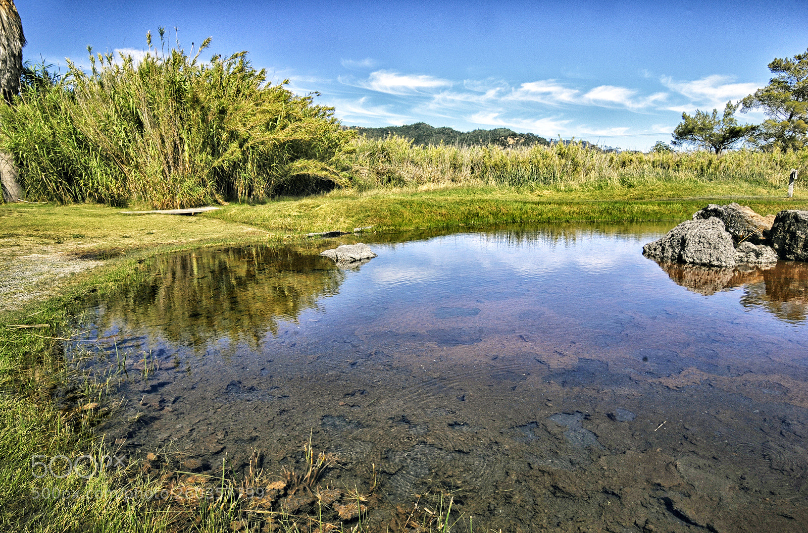 Nikon D80 sample photo. Pond photography